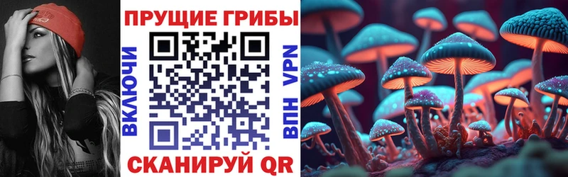 Псилоцибиновые грибы прущие грибы  Купить где  Нолинск 