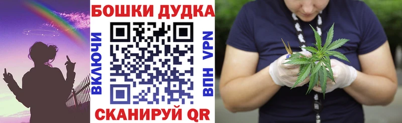 Конопля ГИДРОПОН  Купить  Нолинск 